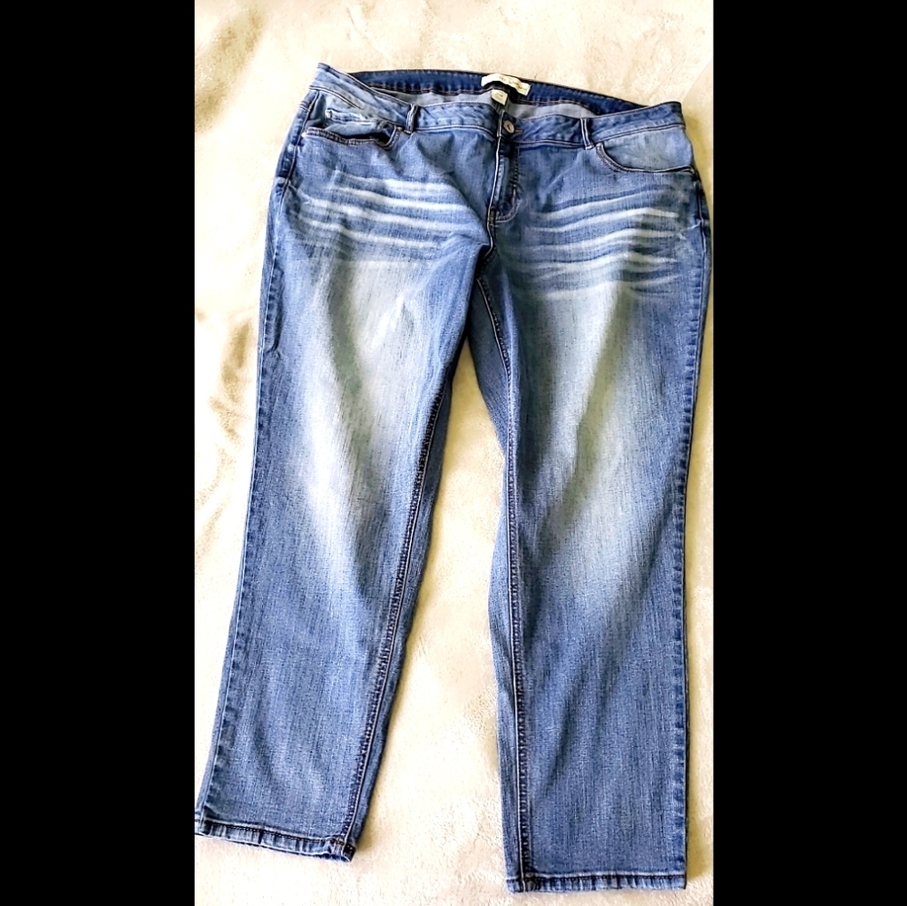 Plus Size Curvy Straight Leg Jeans